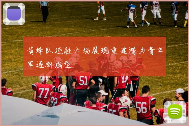 黄蜂队连胜六场展现重建潜力青年军逐渐成型